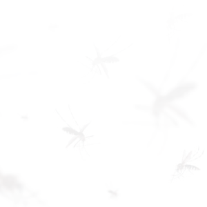 Banner Municipalidad Dengue- Lateral